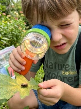 Kids Nature Explorer Bug Viewer - Orange/Blue/Green